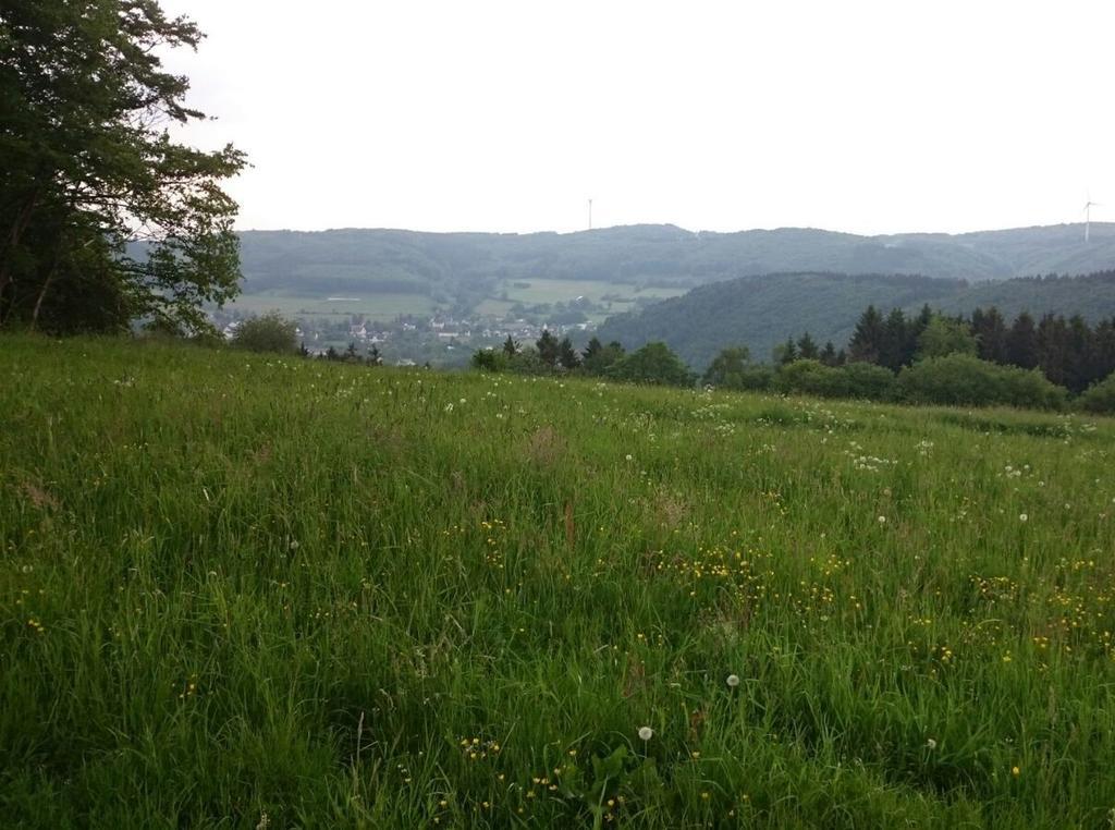 Ferienwohnung Mai Plettenberg Buitenkant foto